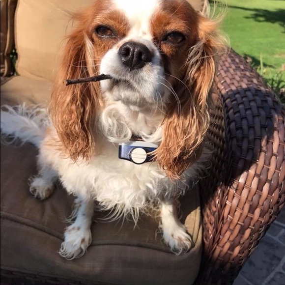 Closet Clear out News!!๐๐Meet your Posher๐๐ - Picture 12 of 16